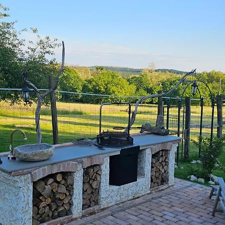 Case de vacanță Darya Pince