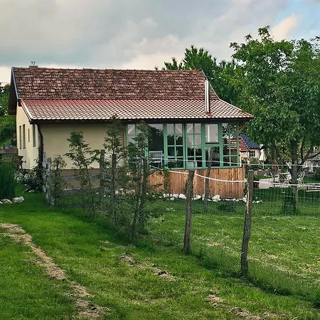 Darya Pince Case de vacanță